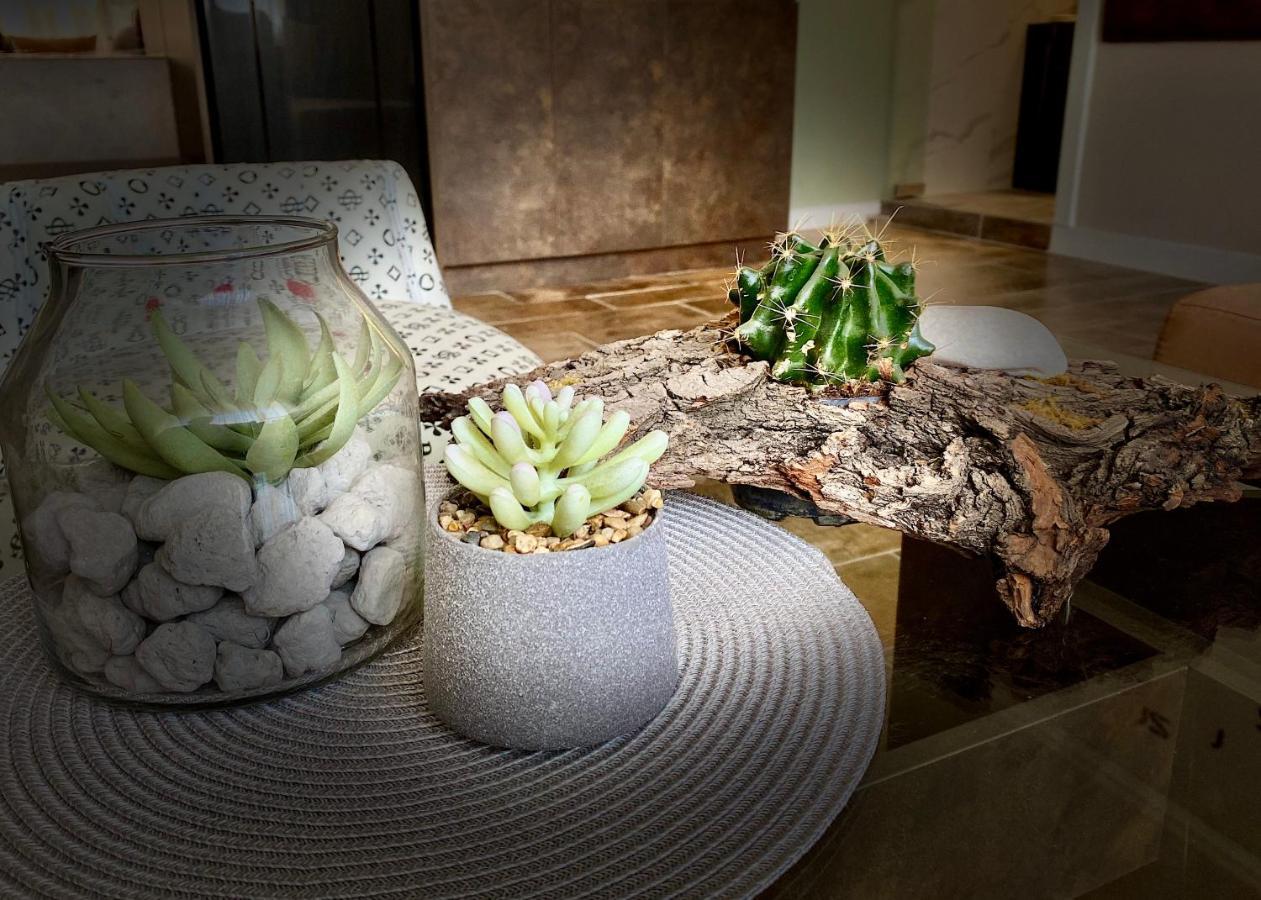Luxury Apartments Ivon プロヴディフ エクステリア 写真